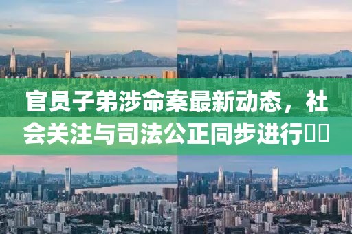 官员子弟涉命案最新动态，社会关注与司法公正同步进行​​