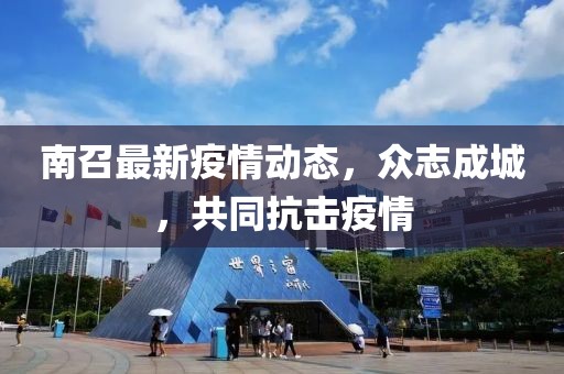 南召最新疫情动态，众志成城，共同抗击疫情