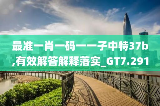 最准一肖一码一一子中特37b,有效解答解释落实_GT7.291