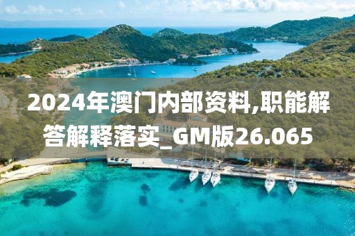 2024年澳门内部资料,职能解答解释落实_GM版26.065