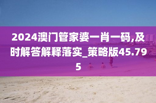 2024澳门管家婆一肖一码,及时解答解释落实_策略版45.795