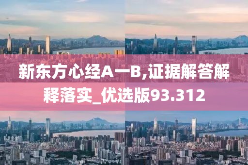 新东方心经A一B,证据解答解释落实_优选版93.312