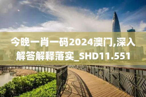 今晚一肖一码2024澳门,深入解答解释落实_SHD11.551