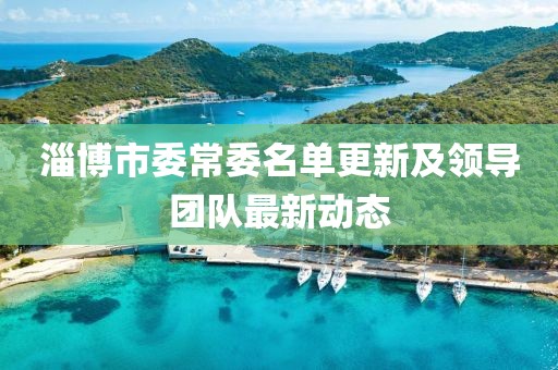 淄博市委常委名单更新及领导团队最新动态