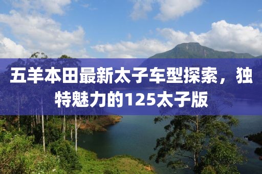 五羊本田最新太子车型探索，独特魅力的125太子版