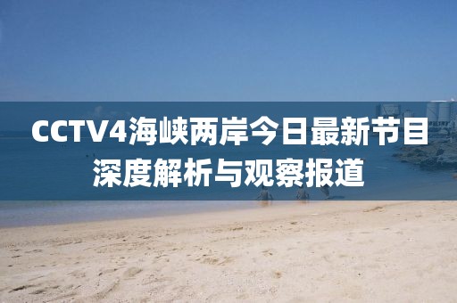 CCTV4海峡两岸今日最新节目深度解析与观察报道