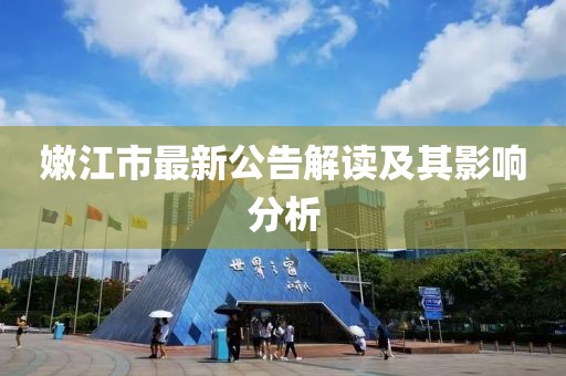 嫩江市最新公告解读及其影响分析