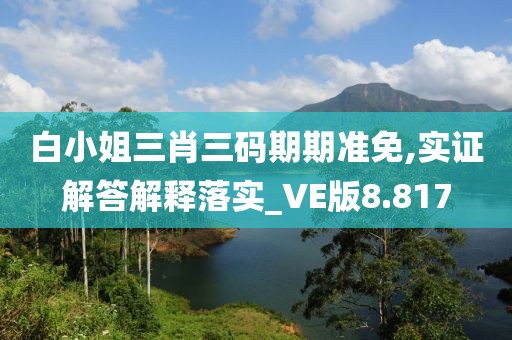 白小姐三肖三码期期准免,实证解答解释落实_VE版8.817