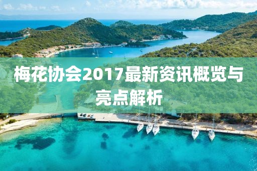 梅花协会2017最新资讯概览与亮点解析