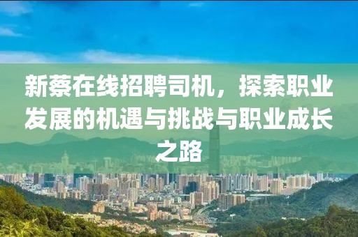 新蔡在线招聘司机，探索职业发展的机遇与挑战与职业成长之路