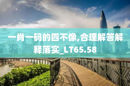 一肖一码的四不像,合理解答解释落实_LT65.58