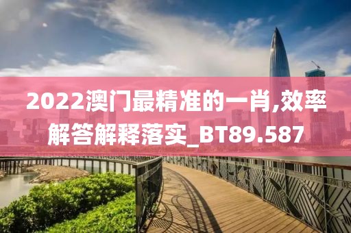 2022澳门最精准的一肖,效率解答解释落实_BT89.587