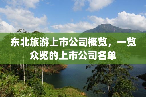 东北旅游上市公司概览，一览众览的上市公司名单