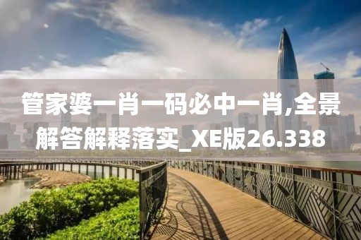 管家婆一肖一码必中一肖,全景解答解释落实_XE版26.338