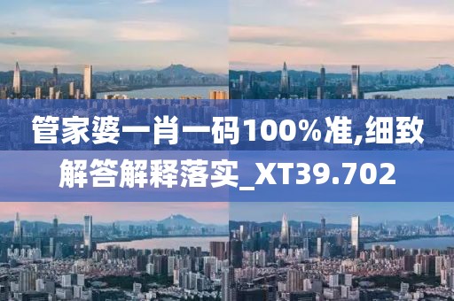 管家婆一肖一码100%准,细致解答解释落实_XT39.702