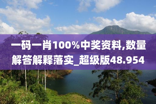 一码一肖100%中奖资料,数量解答解释落实_超级版48.954