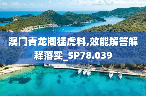 澳门青龙阁猛虎料,效能解答解释落实_SP78.039