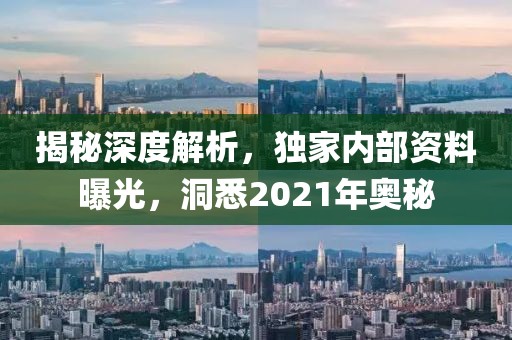 揭秘深度解析，独家内部资料曝光，洞悉2021年奥秘