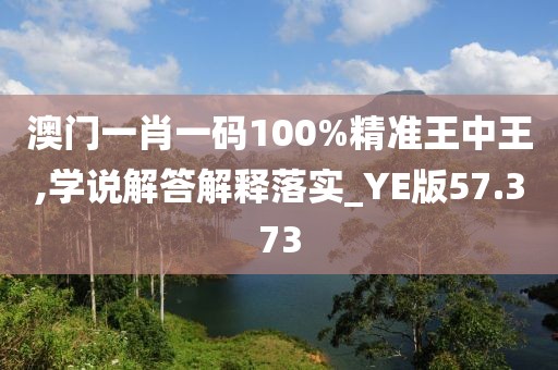 澳门一肖一码100%精准王中王,学说解答解释落实_YE版57.373