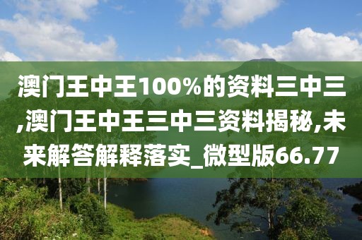 澳门王中王100%的资料三中三,澳门王中王三中三资料揭秘,未来解答解释落实_微型版66.77