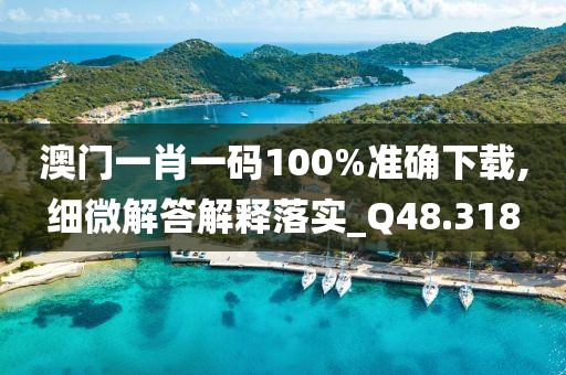 澳门一肖一码100%准确下载,细微解答解释落实_Q48.318