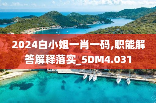 2024白小姐一肖一码,职能解答解释落实_5DM4.031