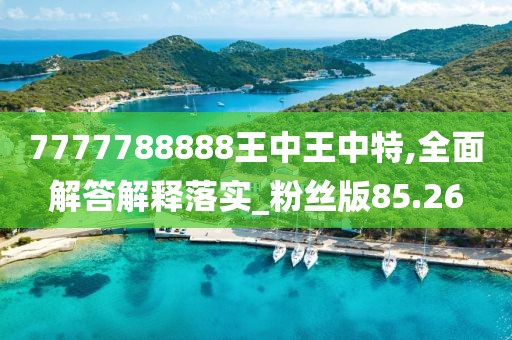 7777788888王中王中特,全面解答解释落实_粉丝版85.26