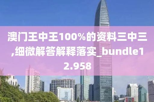 澳门王中王100%的资料三中三,细微解答解释落实_bundle12.958