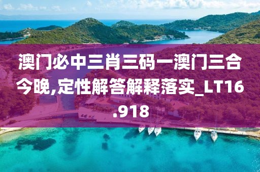 澳门必中三肖三码一澳门三合今晚,定性解答解释落实_LT16.918