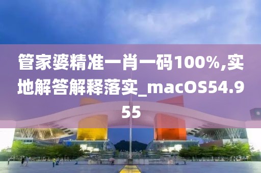 管家婆精准一肖一码100%,实地解答解释落实_macOS54.955