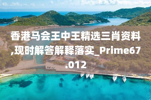 香港马会王中王精选三肖资料,现时解答解释落实_Prime67.012