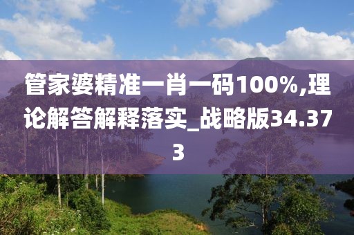 管家婆精准一肖一码100%,理论解答解释落实_战略版34.373