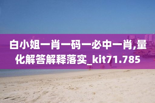 白小姐一肖一码一必中一肖,量化解答解释落实_kit71.785