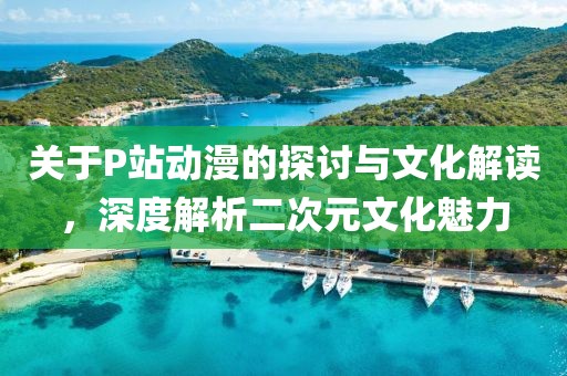 关于P站动漫的探讨与文化解读，深度解析二次元文化魅力