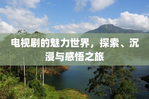 电视剧的魅力世界，探索、沉浸与感悟之旅