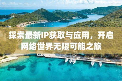 探索最新IP获取与应用，开启网络世界无限可能之旅