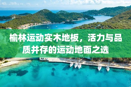 榆林运动实木地板，活力与品质并存的运动地面之选