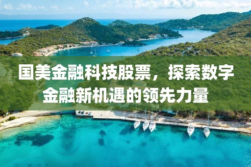 国美金融科技股票，探索数字金融新机遇的领先力量