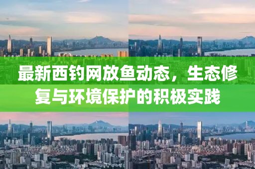 最新西钓网放鱼动态，生态修复与环境保护的积极实践