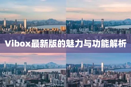 Vibox最新版的魅力与功能解析