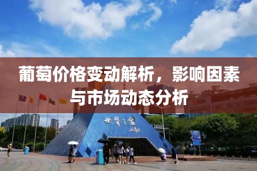 葡萄价格变动解析，影响因素与市场动态分析