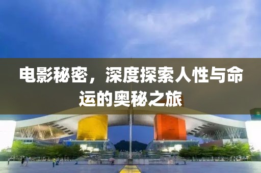 电影秘密，深度探索人性与命运的奥秘之旅