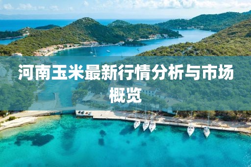 河南玉米最新行情分析与市场概览