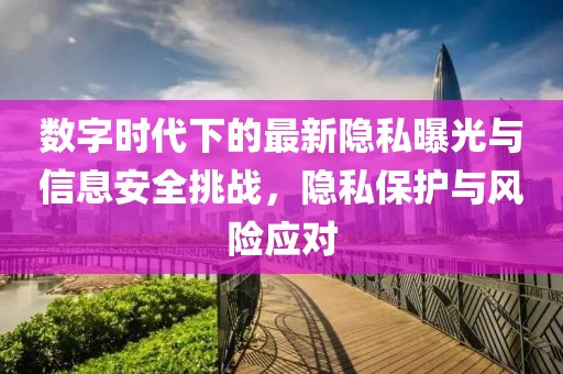 数字时代下的最新隐私曝光与信息安全挑战，隐私保护与风险应对