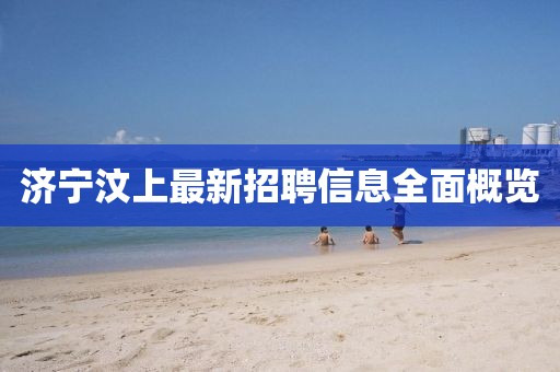 济宁汶上最新招聘信息全面概览