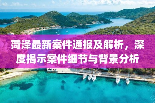 菏泽最新案件通报及解析，深度揭示案件细节与背景分析