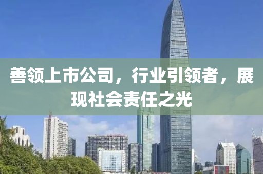 善领上市公司，行业引领者，展现社会责任之光