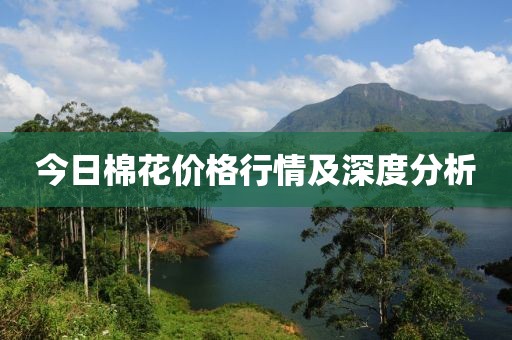 今日棉花价格行情及深度分析