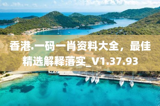 香港.一码一肖资料大全，最佳精选解释落实_V1.37.93