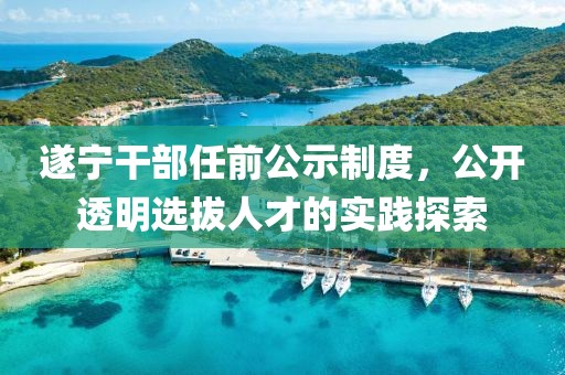 遂宁干部任前公示制度，公开透明选拔人才的实践探索